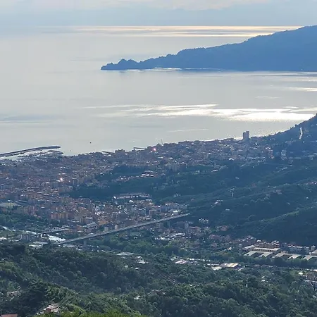Il Tulipanonero