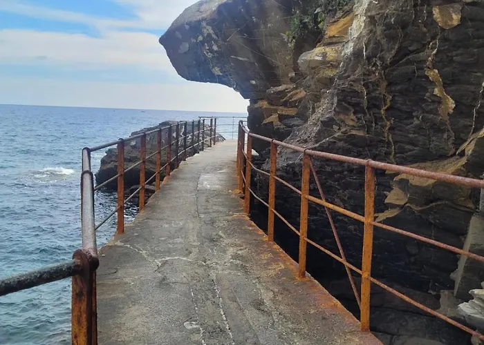 招待所 Il Tulipanonero 基亚瓦里