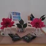 Il Tulipanonero بيت ضيافة